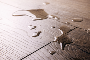  The Effects of Moisture on Timber Furniture